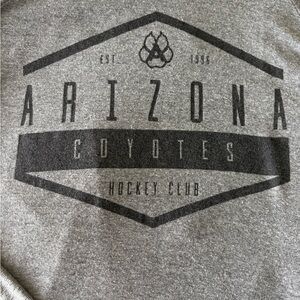 Arizona Coyotes Gray Sweatshirt